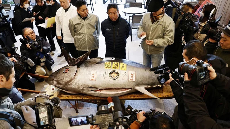 Tokyo Toyosu Market & Tsukiji Market: Tuna Auction & Seafood Breakfast Experience - The best reasons to go
