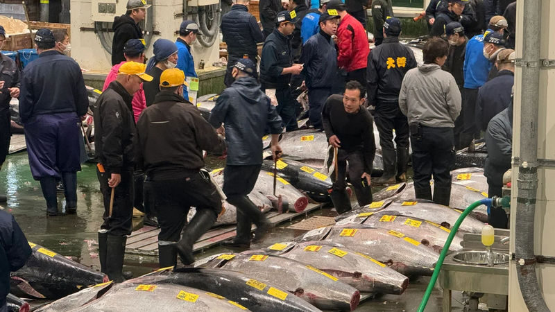 Tokyo Toyosu Market & Tsukiji Market: Tuna Auction & Seafood Breakfast Experience - The early start takes real planning
