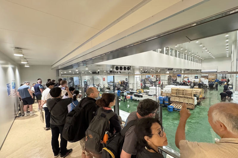Tokyo Toyosu Tuna Auction + Breakfast (Sushi Dai or Bentomi) - What matters most at Toyosu