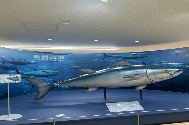 Tokyo Toyosu Tuna Auction + Breakfast (Sushi Dai or Bentomi) - Seeing the tuna auction up close