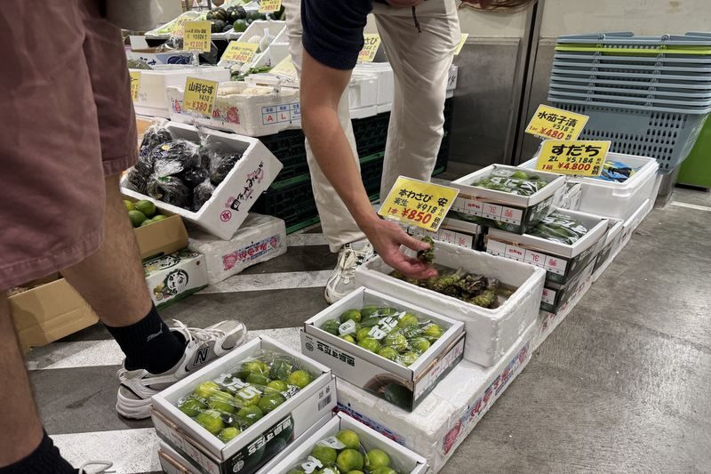 Tokyo Toyosu Tuna Auction + Breakfast (Sushi Dai or Bentomi) - Finding your way through Toyosu