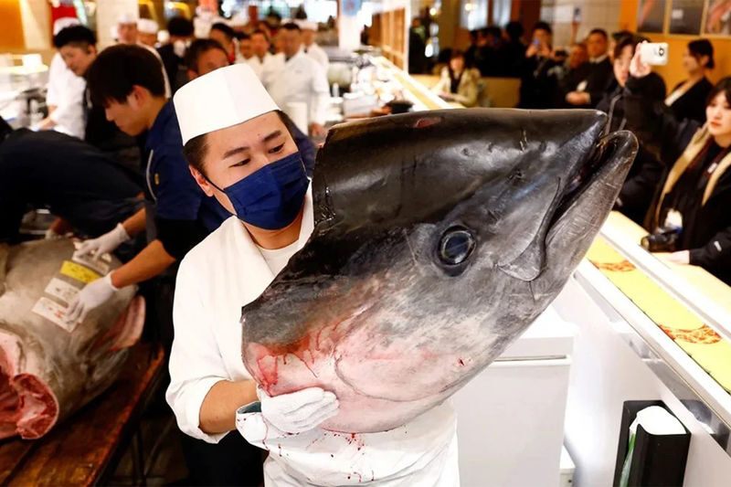 Tokyo: Toyosu Tuna Auction & Tsukiji Market Gourmet Food Tour - At a glance