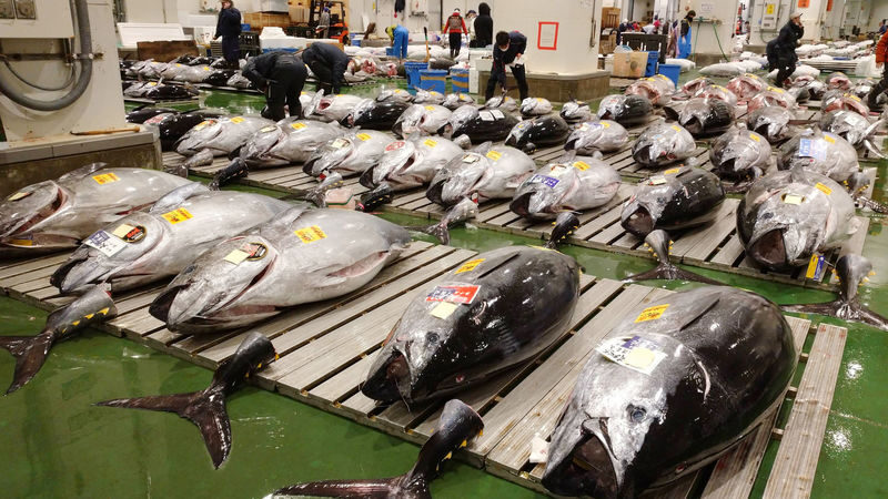 Tokyo: Toyosu Tuna Auction & Tsukiji Market Gourmet Food Tour - Why the Toyosu tuna auction is worth the early alarm