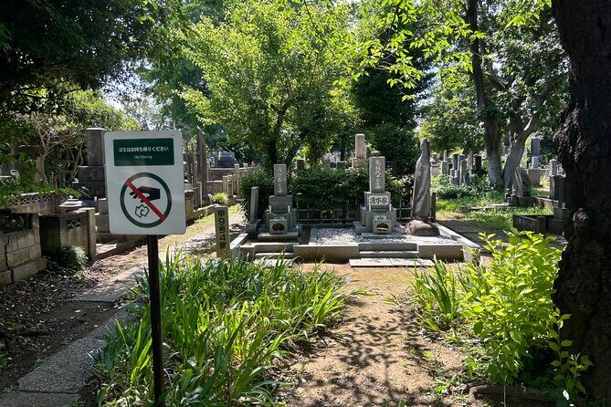 Tokyo: Traditional Backstreets Yanaka Walking Tour - Key Points