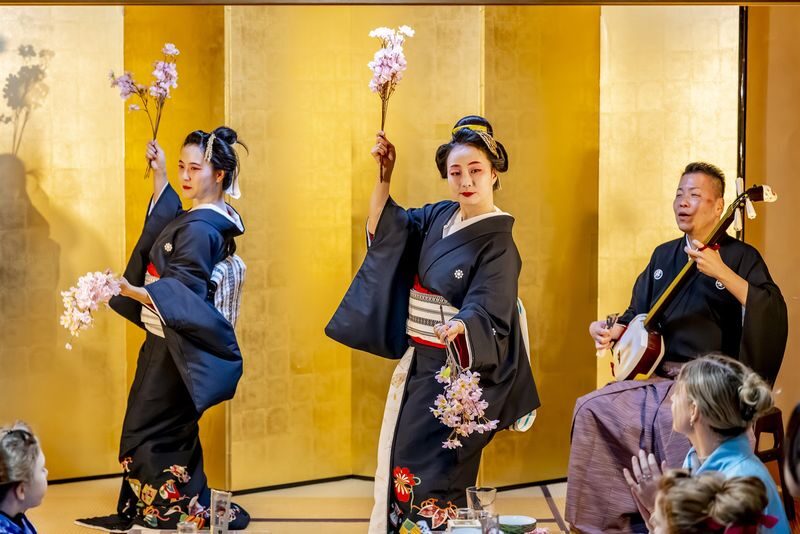 TOKYO:Traditional Geisha Show - What to know before you book