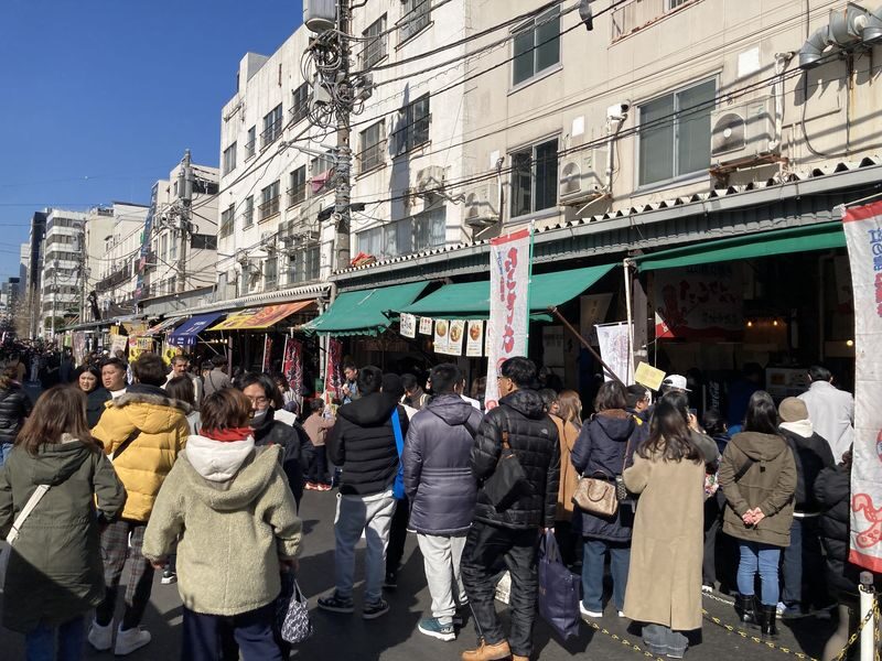 Tokyo: Tsukiji Fish Market Culture Walking and Food Tour - Should you book the Tsukiji walk?