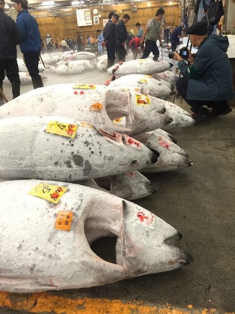 Tokyo: Tsukiji Fish Market Foodie and Educational Tour - Key Points