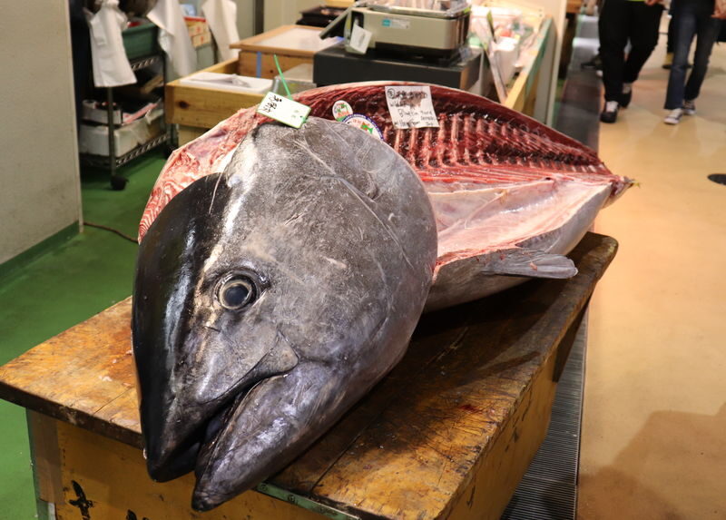 Tokyo Tsukiji Half-Day Private Food Tour - Key points before you book