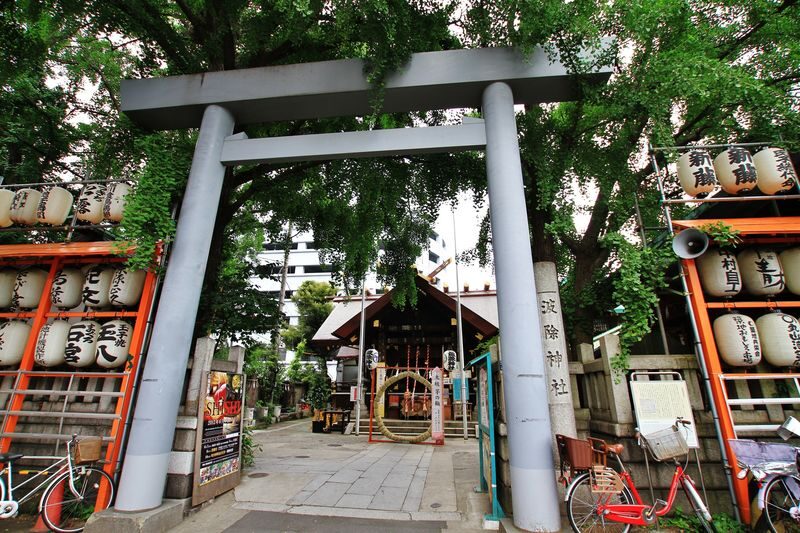 Tokyo Tsukiji Market Half-Day Historical Dining Tour - The guide can shape the day