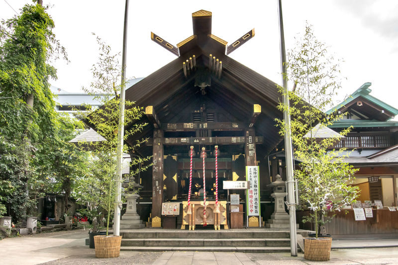 Tokyo Tsukiji Market Half-Day Historical Dining Tour - Should you book?