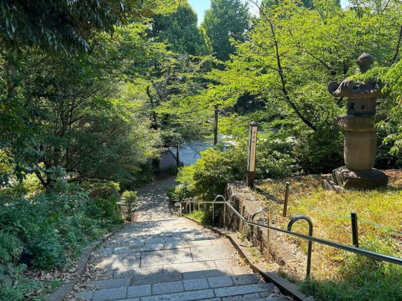 Tokyo: Ueno Park and Ameyoko Street Walking Tour - The Itinerary in Detail