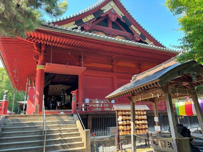 Tokyo: Ueno Park and Ameyoko Street Walking Tour - Who Will Love This Tour?