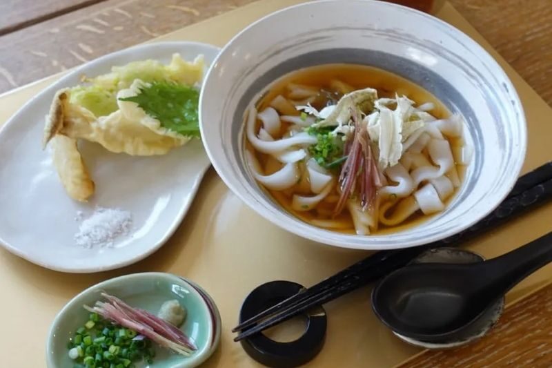 Tokyo - Vegan & Gluten Free Udon Noodle Cooking Class - Making udon without wheat