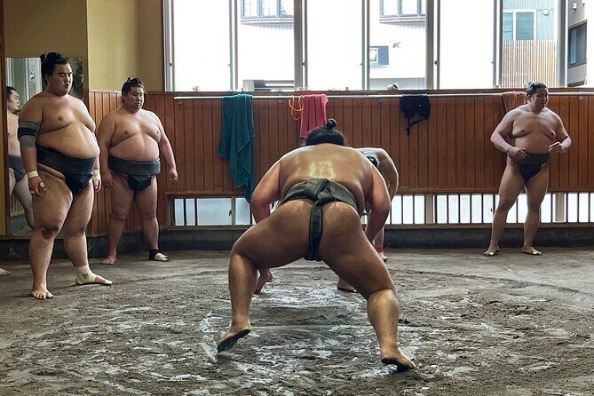 Tokyo: Visit Sumo Morning Practice with English Guide - Key Points