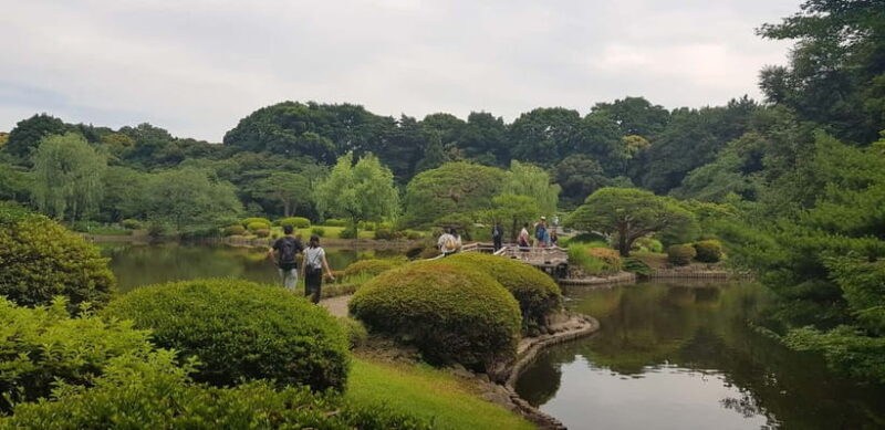 Tokyo Walk through: Shinjuku, Harajuku, Omotesando & Shibuya - Key Points