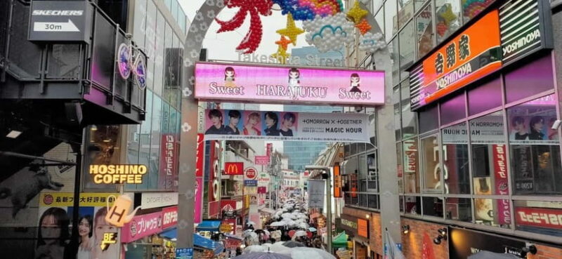 Tokyo Walk through: Shinjuku, Harajuku, Omotesando & Shibuya - Who Is This Tour Best For?