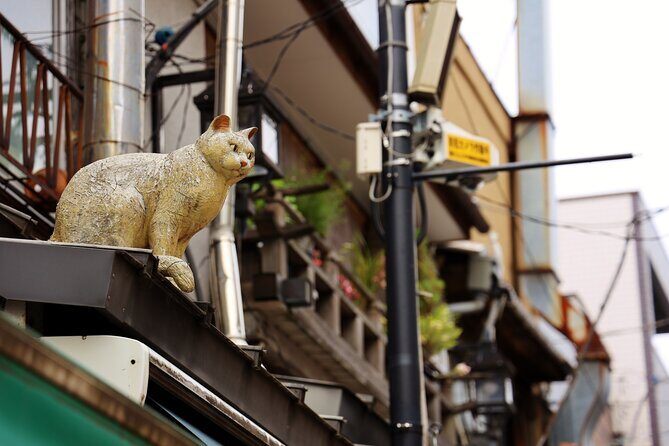 Tokyo Walking Tour of Historic Shopping Streets Yanaka - Who Will Love This Tour?