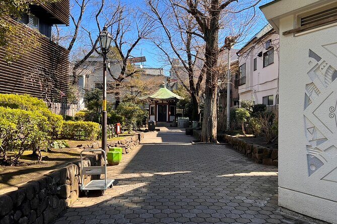 Tokyo Walking Tour of Historic Shopping Streets Yanaka - Practical Details & What to Expect