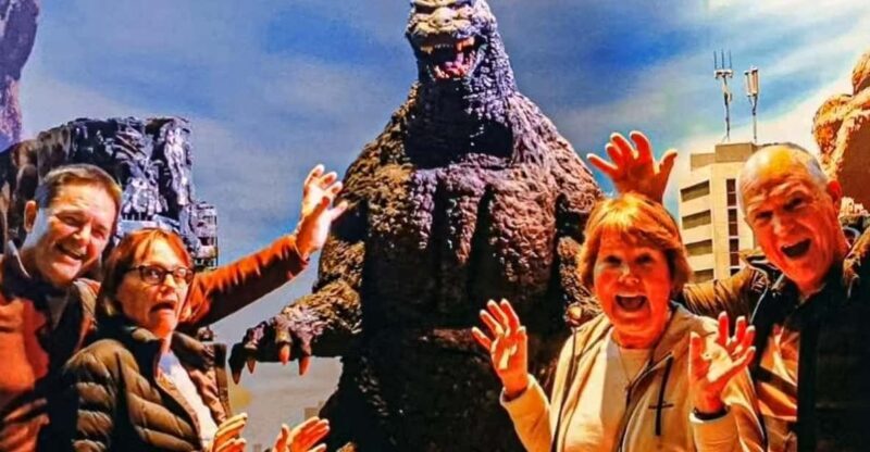 Tokyo Walking Tour with Licensed Guide Shinjuku - A Detailed Look at the Tokyo Shinjuku Walking Tour