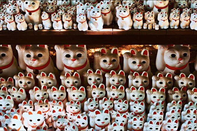 Tokyo: We Love Shibuya, Hachiko and the Lucky Cat Temple - Key Points