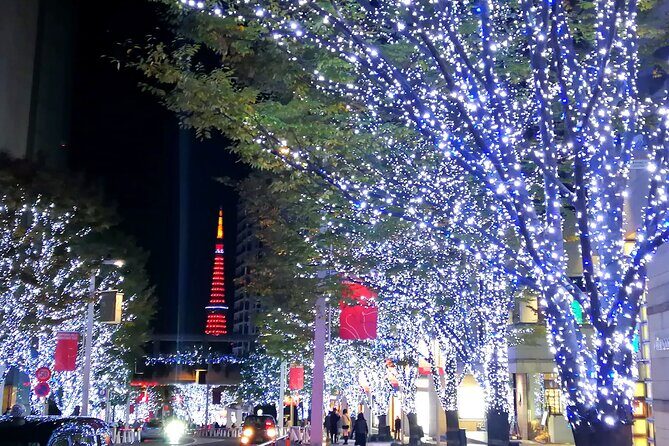 Tokyo Winter Illumination Ebike Tour - A Deeper Look at the Tokyo Winter Illumination Ebike Tour