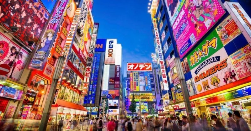 Tokyo: Winter Illuminations Private Tour with a Local - An In-Depth Look at the Experience