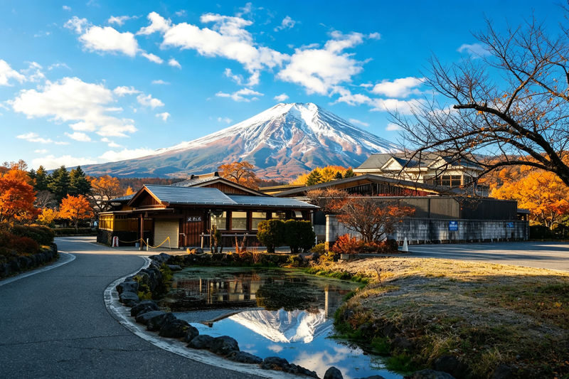 Tokyo & Yamanashi Full-Day Mt. Fuji & Kawaguchiko Tour - Is $51.25 good value?