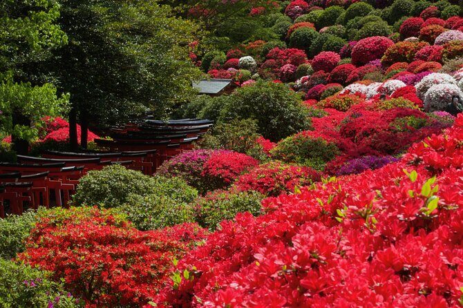 Tokyo: Yanaka and Ueno, the Tokyo of Tradition - The Details That Matter: What to Expect