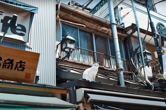 Tokyo: Yanaka and Ueno, the Tokyo of Tradition - Authentic, Practical Travel Insights