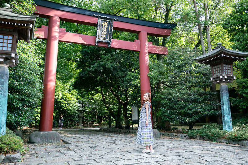 Tokyo Yanaka, Nezu, Sendagi Half-Day Private Cultural Tour - A Private Guide Makes the Walk Personal