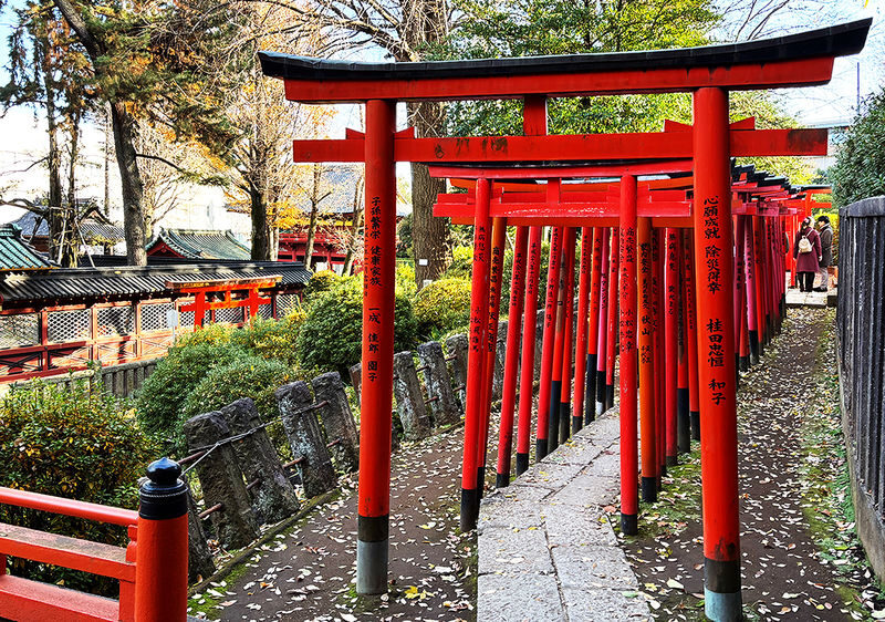 Tokyo Yanaka Old Town Half-Day Cultural Walking Tour - Yanaka’s appeal is a slower side of Tokyo