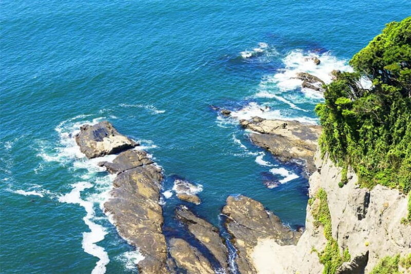 Tokyo Yokohama Night View Tour With Kamakura And Enoshima - A Closer Look at the Tour Experience