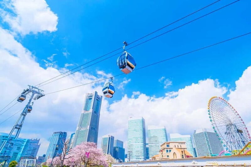 Tokyo Yokohama Night View Tour With Kamakura And Enoshima - FAQ