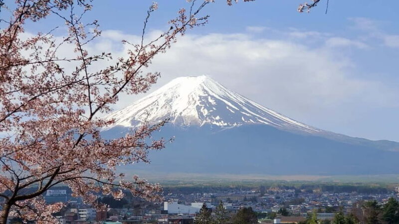 Tokyo:2 Days Mount Fuji & Hakone Private Tour (Customizable) - Who Should Consider This Tour?