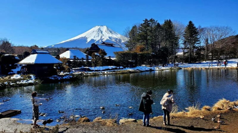 Tokyo:2 Days Mount Fuji & Hakone Private Tour (Customizable) - Frequently Asked Questions