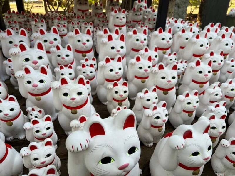 Tokyo:An Unique temple Walking Tour for cat lovers - An In-Depth Look at the Tour