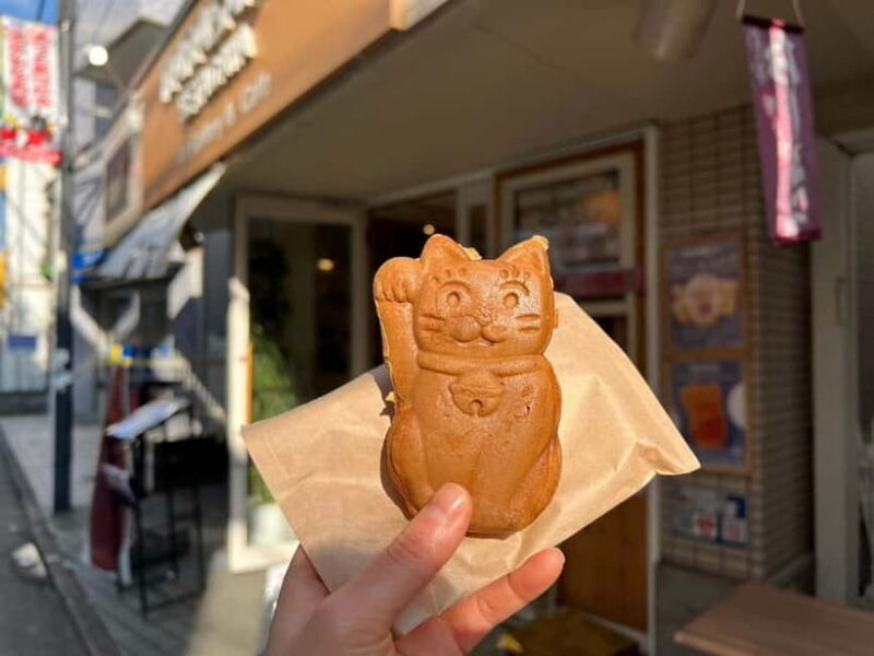 Tokyo:An Unique temple Walking Tour for cat lovers - Final Thoughts