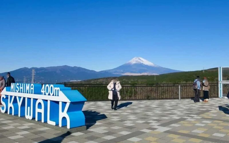 Tokyo:Customizable Private Day Trip to Mt.Fuji & Safari Park - Key Points