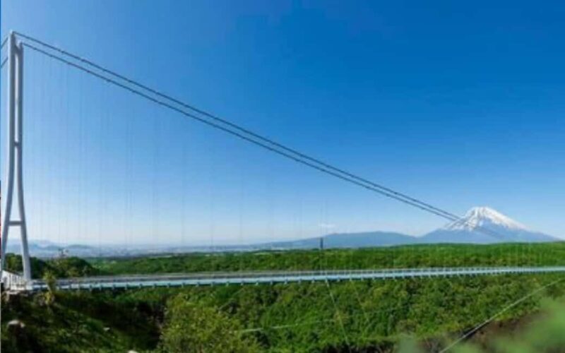 Tokyo:Customizable Private Day Trip to Mt.Fuji & Safari Park - A Deep Dive into the Experience
