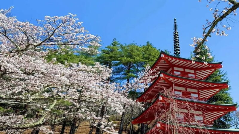 Tokyo:Fuji-Kawagu Cable Car (Ticket Inc.) Shinkurayama&Panos - Frequently Asked Questions