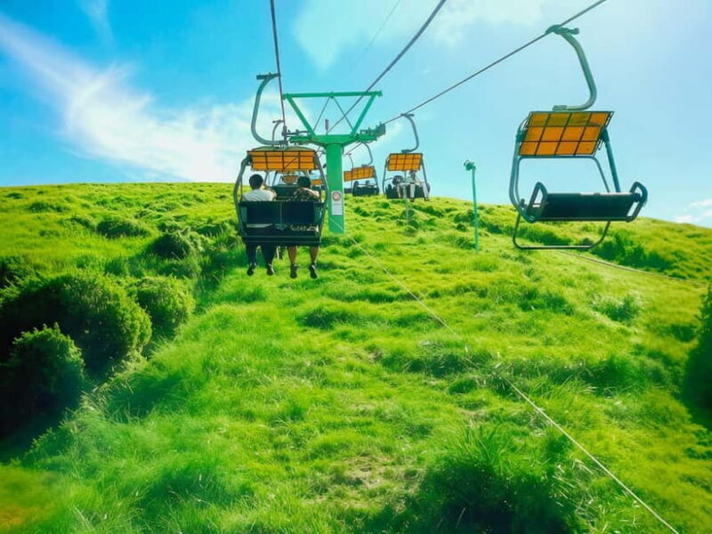 Tokyo:Izu Penisula Train Mt Omuro, Capybara Sightseeing Trip - Who Will Appreciate This Tour?