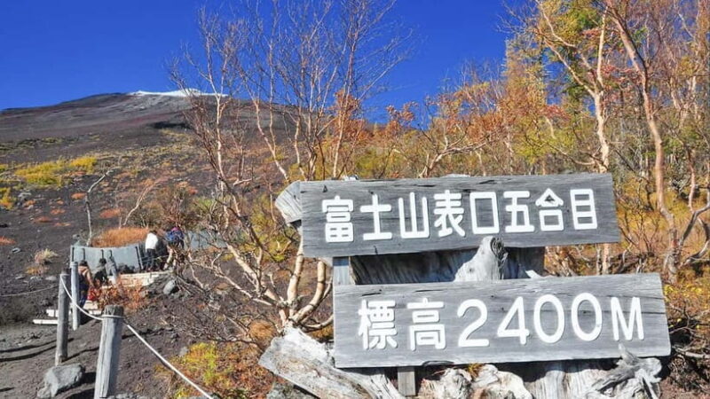 Tokyo:Mt. Fuji 5th Station&Onsen Day Trip | Seasonal Special - Key Points