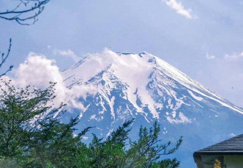 Tokyo:Mt. Fuji 5th Station&Onsen Day Trip | Seasonal Special - The Experience in Detail