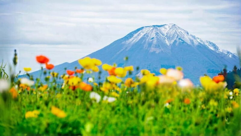 Tokyo:Mt. Fuji 5th Station&Onsen Day Trip | Seasonal Special - Who Will Enjoy This Tour?