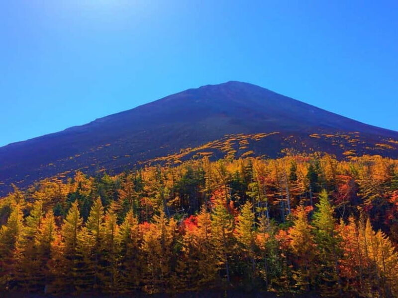 Tokyo:Mt.Fuji 5th Station,Oshino Hakkai&Kawaguchiko Day Tour - Practical Tips for Travelers