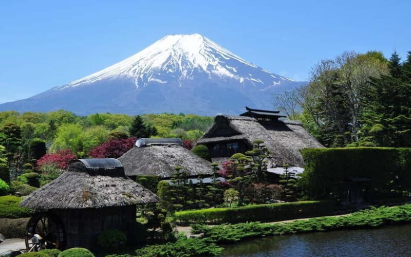 Tokyo:Mt.Fuji 5th Station,Oshino Hakkai&Kawaguchiko Day Tour - The Sum Up: Who Is This Tour Best For?