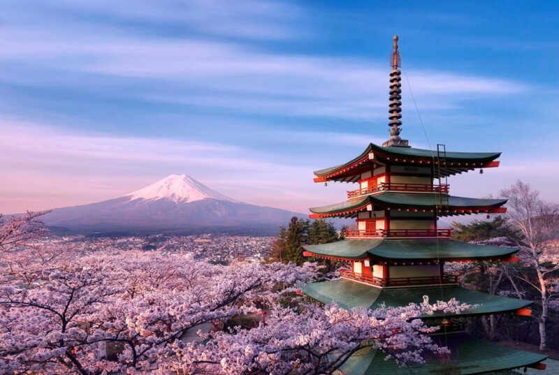 Tokyo:Mt Fuji & Hakone Day Tour with English Speaking Driver - Who Is This Tour Best For?