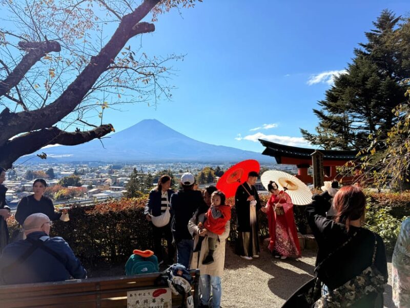 Tokyo:Mt Fuji & Hakone Day Tour with English Speaking Driver - Final Thoughts
