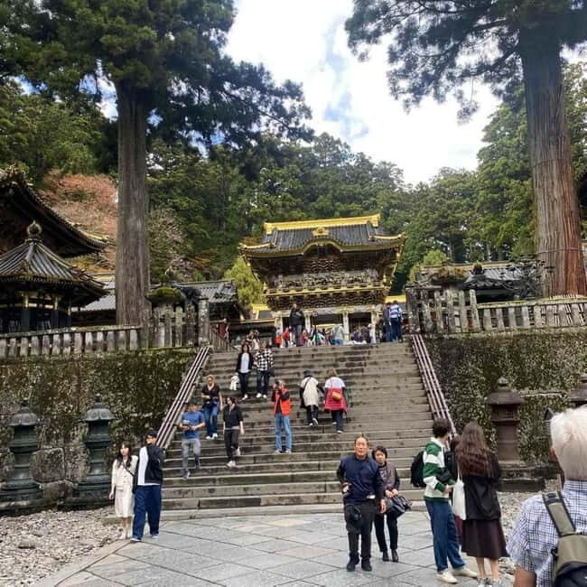 Tokyo:Nikko UNESCO World Heritage Sites Private 1-Day Tour - An In-Depth Look at What to Expect in Your Nikko Private Tour