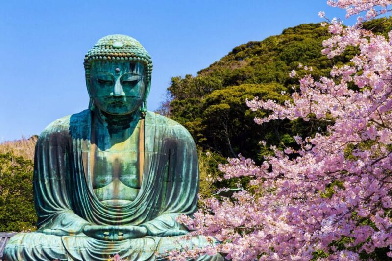 Tokyo:Private Cutomizable Day Tour to Kamakura - Key Points